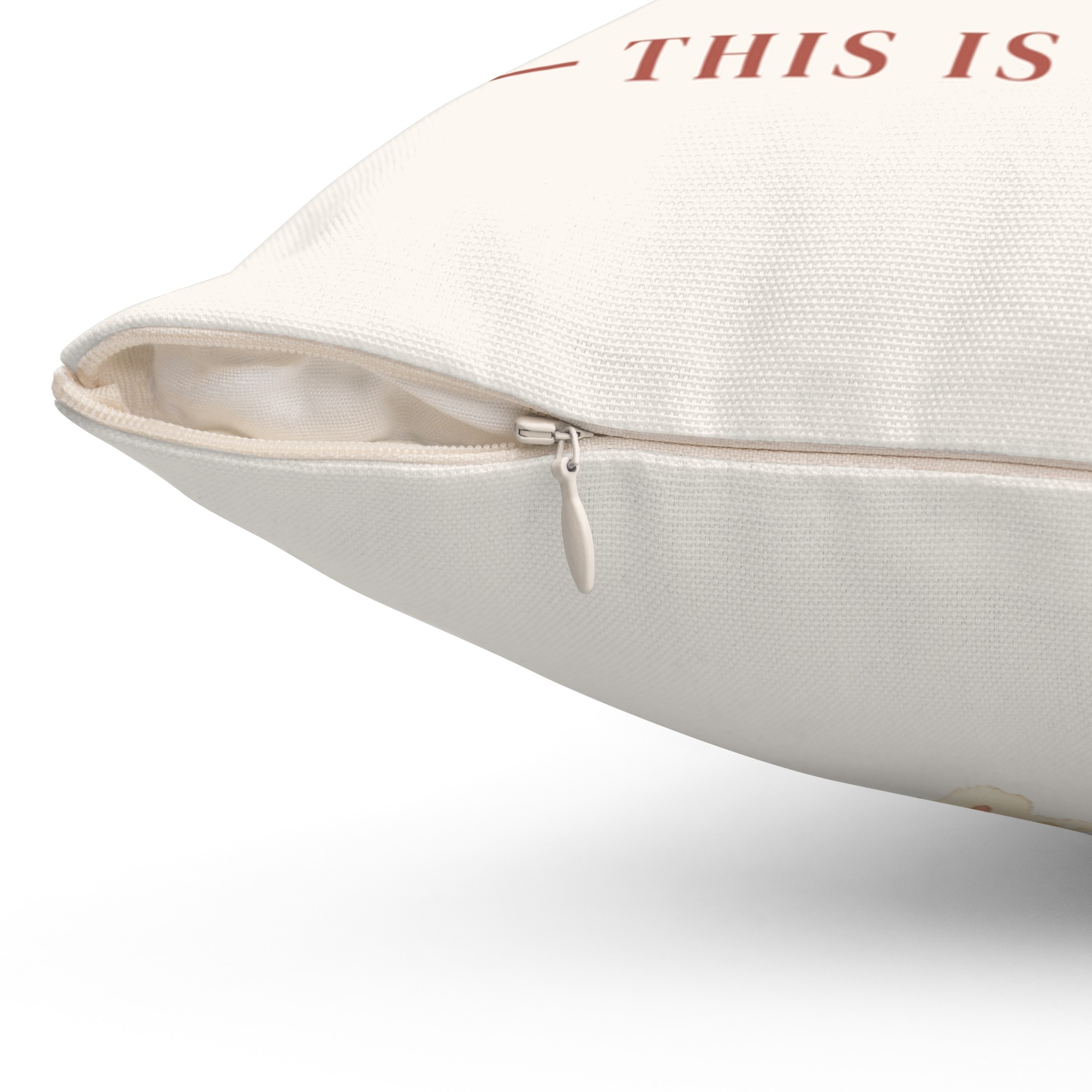 Personalized Dog Pillow with Name, This Is My Spot Dog Throw Pillow, Custom Dog Lover Gift, Dog Mom Home Decor - Image 3